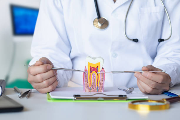 Best Emergency Dental Extractions in Kenvil, NJ